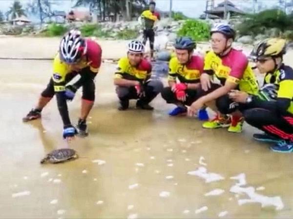 Penyu karah berjaya dilepaskan semula ke laut. - Foto Abih Reng Cycling Team