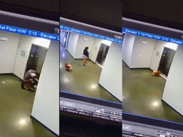 Detik-detik cemas anjing tersepit di lif.