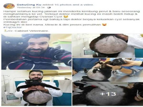 Paparan Facebook DakuCing Ku tular di laman sosial.