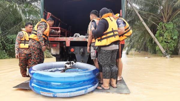 Anggota bomba membantu memindahkan penduduk yang terperangkap di rumah akibat banjir di Kampung Kurnia.