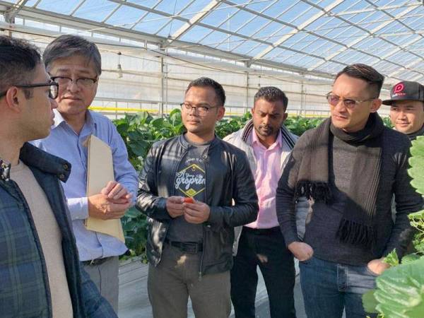 Taklimat oleh pengurus ladang Sayama Berryland berkaitan konsep agro pelancongan dan teknologi dalam tanaman.