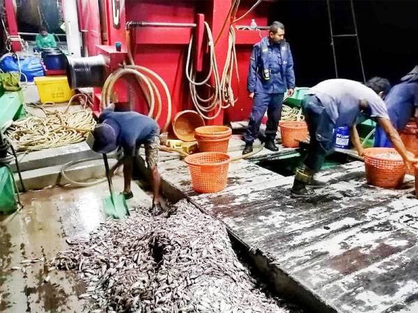 Bot bersama kira-kira 2000 kg hasil tangkapan kemudiannya dibawa ke Jeti Zon Maritim Kuala Kedah untuk tindakan lanjut.