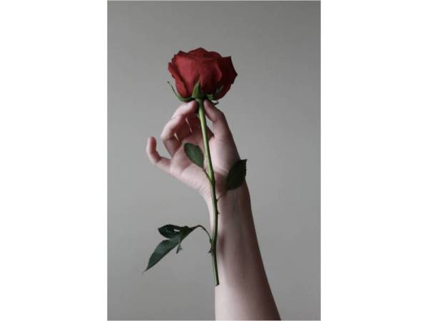 HADIAH kejutan menjadi elemen tambahan untuk memikat hati pasangan.