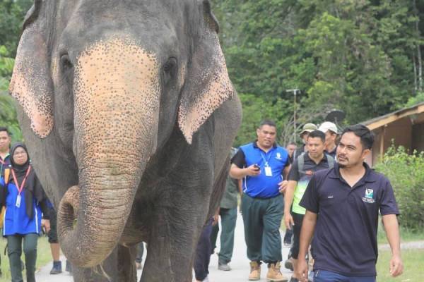 Bilangan pelancong mengunjungi PKGK meningkatkan setiap tahun.