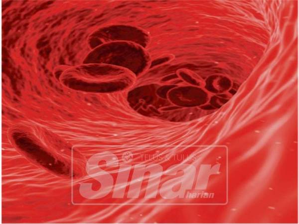 SEL darah merah.
