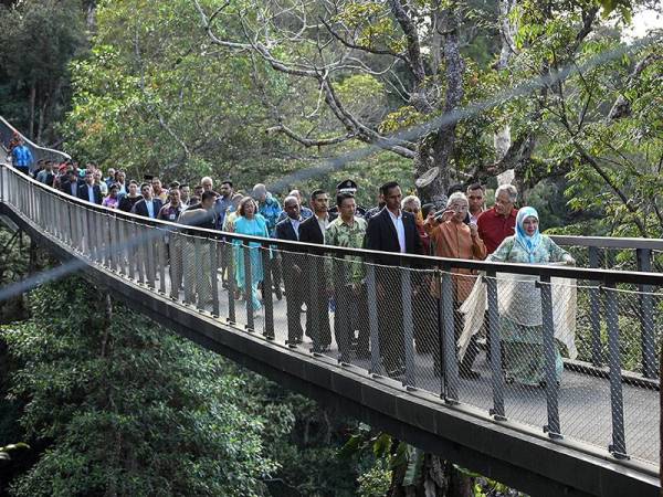 Yang di-Pertuan Agong Al-Sultan Abdullah Ri'ayatuddin Al-Mustafa Billah Shah dan Raja Permaisuri Agong, Tunku Hajah Azizah Aminah Maimunah Iskandar berkenan berjalan di atas Canopy Walk sempena lawatan ke Bukit Bendera hari ini. - Foto Bernama
