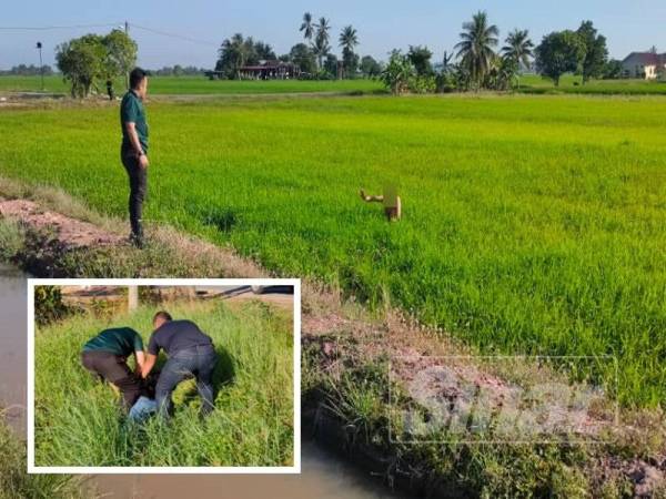 Dua individu dipercayai tokan dadah ditahan oleh AADK Yan dalam serbuan di Yan pagi tadi.
