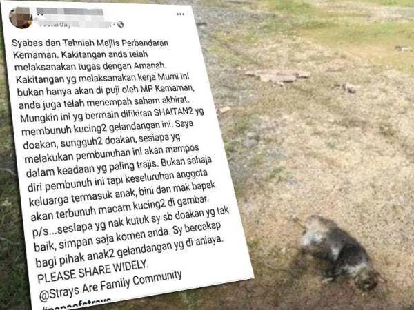 Dakwaan dimuat naik seorang pengguna di laman sosial Facebook mengatakan MPK telah membunuh kucing jalanan di Medan Selera Jom Makan, Kemaman.
