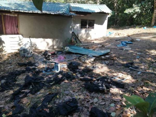 Najis yang ditinggalkan gajah-gajah selepas merosakkan sebuah rumah di Kampung Talong Luat di sini. - Foto Jabatan Perhilitan Perak