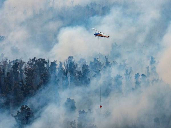 Suhu meningkat lebih 40 darjah Celsius akibat kebakaran belukar yang semakin teruk di Australia. - Foto: AFP
