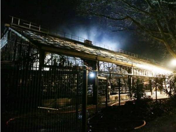 Punca kebakaran zoo tersebut masih lagi disiasat oleh pihak berkuasa.