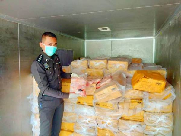 Anggota Maqis menunjukkan ayam sejuk beku yang berjaya dirampas.