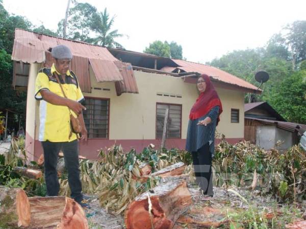 Fatimah menunjukkan dahan pokok yang telah dipotong