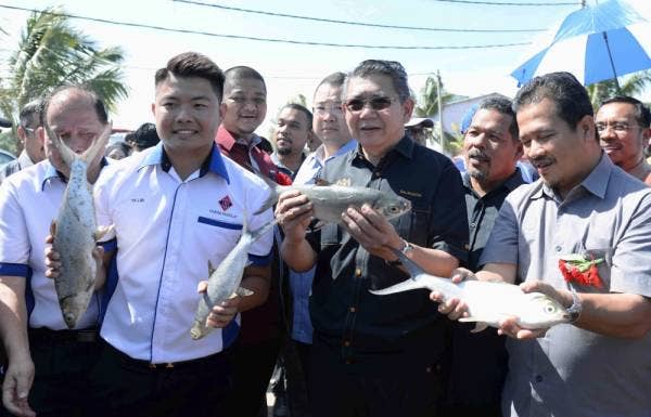 Salahuddin (tiga, kanan) menunjukkan hasil ikan susu yang baru diambil dari kolam pada Majlis Pelancaran dan Promosi Ikan Susu Malaysia di Ladang Ternakan Usaha Fadzilat, Kempt. 13, Batu Lintang, Kuala Muda hari ini. -Foto Bernama