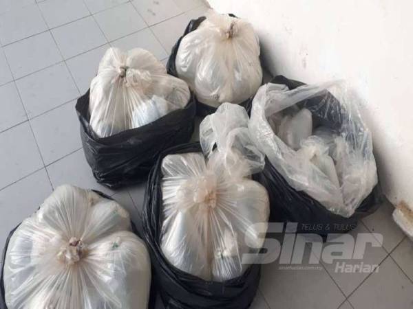 Bungkusan lut sinar mengandungi benih udang yang disembunyikan dalam plastik hitam.