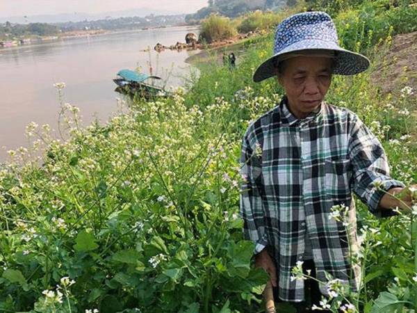Penduduk yang mempunyai tanaman di tepi sungai mengalami kerugian apabila air dari hulu empangan dibebaskan. - Foto Agensi