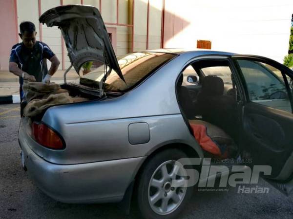 Anggota Aksem memeriksa rampasan 13 guni benih kerang disembunyikan di bahagian penumpang belakang yang ditutup kain hitam manakala sembilan lagi guni di bahagian bonet.