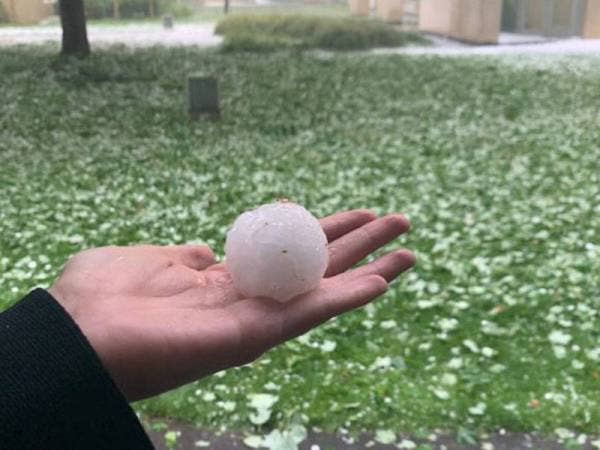 Foto: Twitter Tamsin Rose