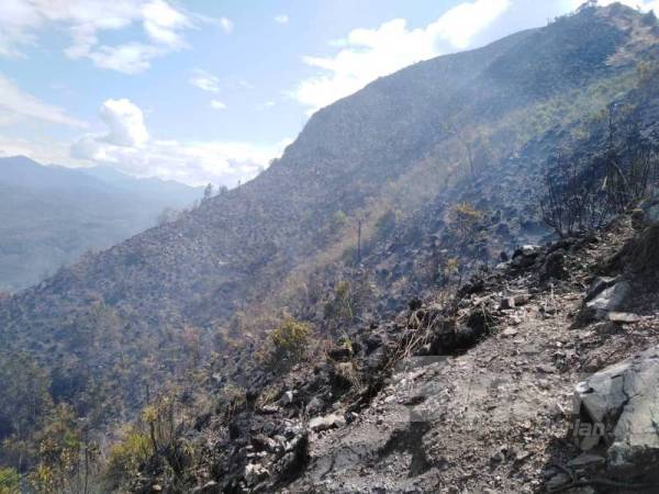 Kawasan hutan di puncak Bukit Berekeh di Sungai Siput, terbakar hari ini. 