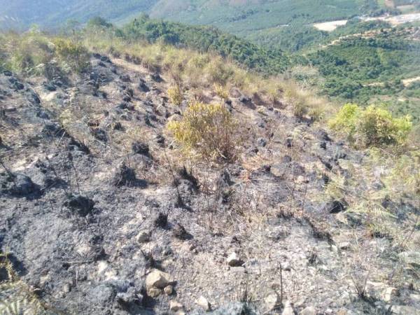 Kira-kira lima ekar kawasan Bukit Berekeh, Sungai Siput, terbakar hari ini.