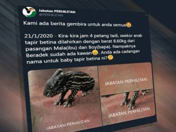 Nama Melayu Klasik Haiwan