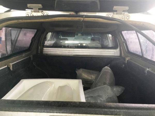 Bungkusan ikan hiasan yang ditemui di bahagian belakang Toyota Hilux yang dipandu seorang lelaki di ICQS Bukit Kayu Hitam Isnin lalu.