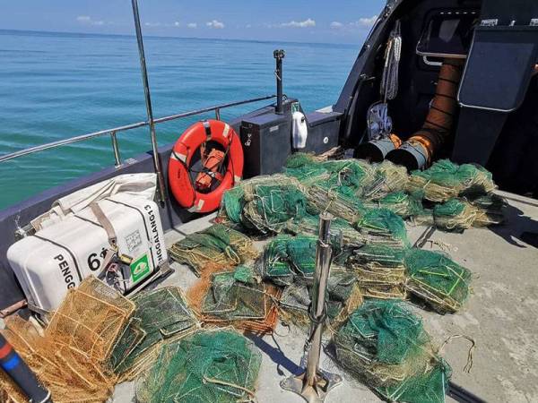 Sebanyak 33 bubu naga dirampas oleh APMM Perak bersama ikan bernilai RM2,500.