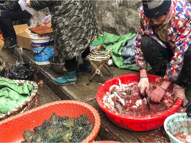 Penjualan daging haiwan eksotik dibuat secara terbuka di Wuhan. -Foto Simon Song.