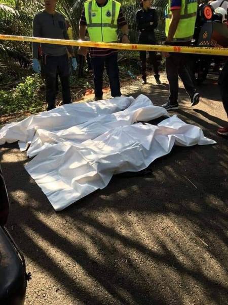 Mayat ketiga beranak yang maut dihempap pokok kelapa sawit yang tumbang di Jalan Batu Puteh, Batu Pahat pagi tadi.