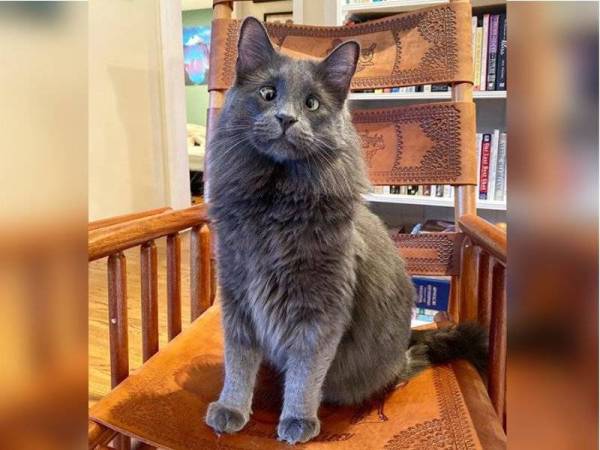 Memiliki mata juling dianggap sebagai tuah buat Belarus. - Foto Instagram my_boy_belarus