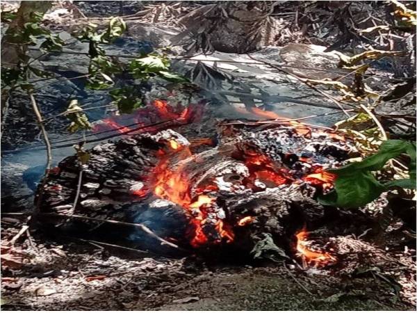 Kawasan hutan di Bukit Jambul pula dilaporkan terbakar pagi tadi.