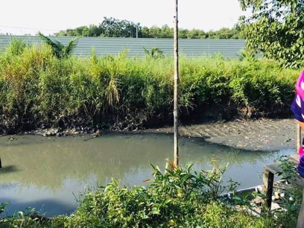 Dahulu Sungai Limau yang jernih bertukar kehitaman selepas dicemari dengan najis ayam dari ladang berhampiran.