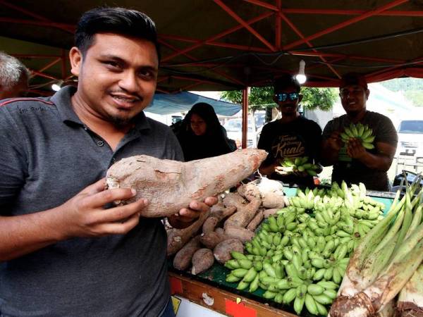 Peniaga Mohammad Zaidi Salleh Anuar menunjukkan ubi kayu yang dijual dengan harga RM3.50 sekilogram ketika ditemui pada program My Best Buy Fama sempena Le Tour De Langkawi 2020 (LTdL 2020) yang disempurnakan oleh Pengerusi Jawatankuasa Agama dan Pendidikan Islam, Industri, Luar Bandar dan Pembangunan Usahawan Datuk Asmuni Awi di Bandar Meru Raya hari ini. - Foto Bernama