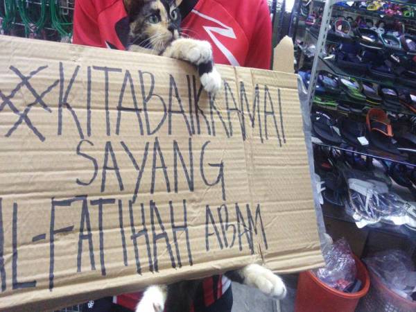 Kata-kata sering diungkapkan Allahyarham Abam tular di media sosial. 