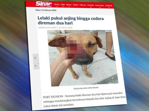 Paparan skrin laporan berita sebelum ini.