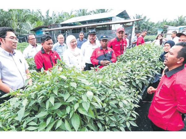 Moto LPP tahun 2020 ialah Bersama Kita Perkasakan Peladang dan Institusi Peladang.