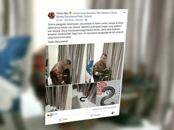 Bomba tersebut yang dikenali sebagai Pakdo Mat memuat naik kisah tersebut di Facebook yang turut berkongsi beberapa gambar ular tersebut yang kini tular di media sosial.