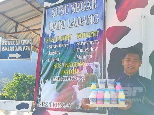 Nik Syazwan Najmi menunjukkan produk tenusu yang dihasilkan di ladangnya.