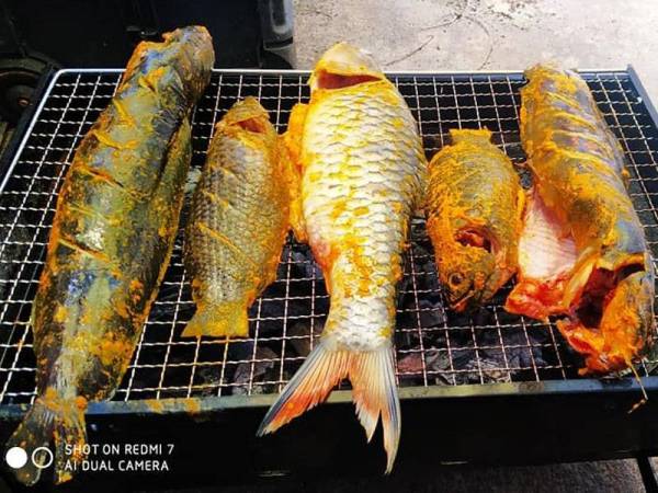 Sebahagian tangkapan yang dijadikan juadah keluarga oleh Mohd Suffian. -Foto: MOHD SUFFIAN @YANZ
