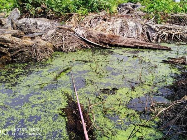 Lubuk puyu yang bakal lenyap tidak lama lagi. -Foto: MOHD SUFFIAN @YANZ