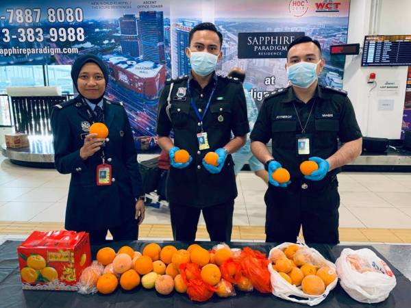 Pegawai Maqis menunjukkan limau yang dirampas.