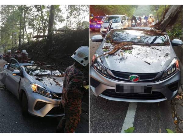 Keadaan kereta mangsa yang dihempap pokok di Jalan Sri Rawang, Taman Garing Jaya di sini pagi tadi. - Foto Facebook