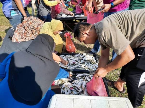 Orang ramai tidak melepaskan peluang membeli ikan kembung yang dibawa dari Kuala Muda, Kedah dan dijual semurah RM10 bagi tiga kilogram di Bandar Meru Raya dan beberapa lokasi di sekitar Ipoh kelmarin. - Foto Bernama
