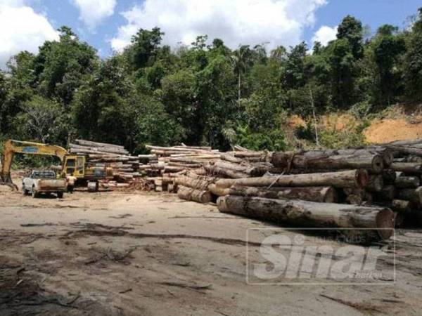 Semua aktiviti pengusahasilan hutan dihentikan selaras dengan pelaksanaan Perintah Kawalan Pergerakan.