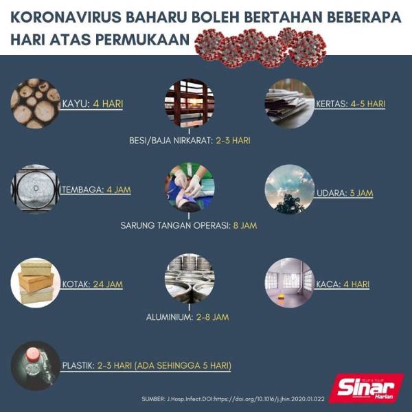 90014355_10158613450389883_4532937131630264320_o