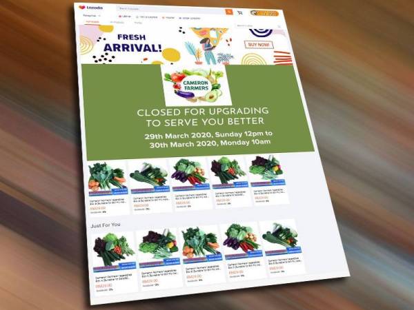 Platform e-dagang Lazada bakal membantu memasarkan produk sayur-sayuran pekebun Cameron Highlands.
