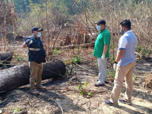 Rani (tengah) turut turun padang dan meninjau keadaan kawasan Hutan Simpan Bukit Perangin yang dibakar dan diratakan bagi tujuan pertanian. - Foto Ihsan JPNK