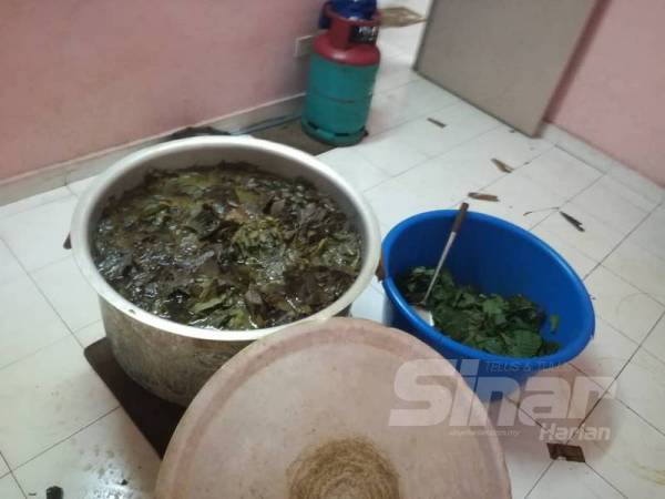 Air ketum yang diproses di pangsapuri di Seksyen 24, Shah Alam. 