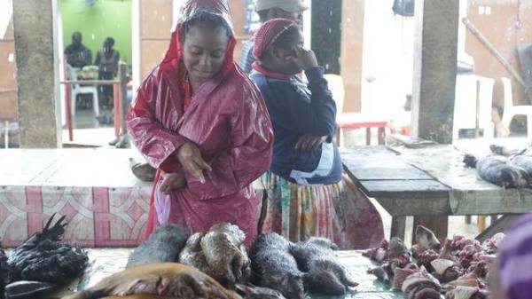 Tenggiling mendapat permintaan tinggi dalam perubatan tradisional di Gabon. - foto: AFP
