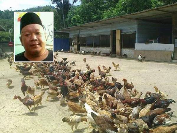 Penternak dan petani dalam kawasan PKPD disaran bersiap sedia dalam semua aspek. Gambar kecil: Zamri